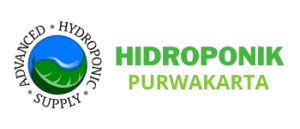 Hijau_Modern_Logo_KKN__350_x_150_piksel_-removebg-preview