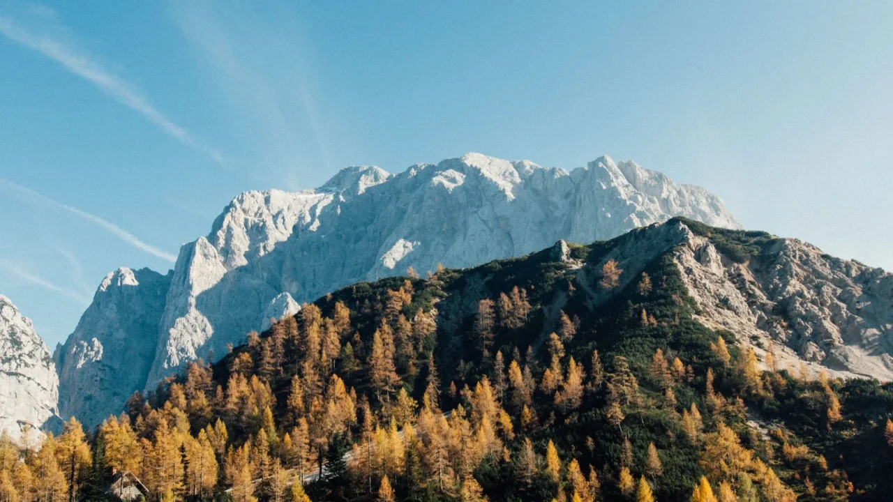Travel Website Mountain View