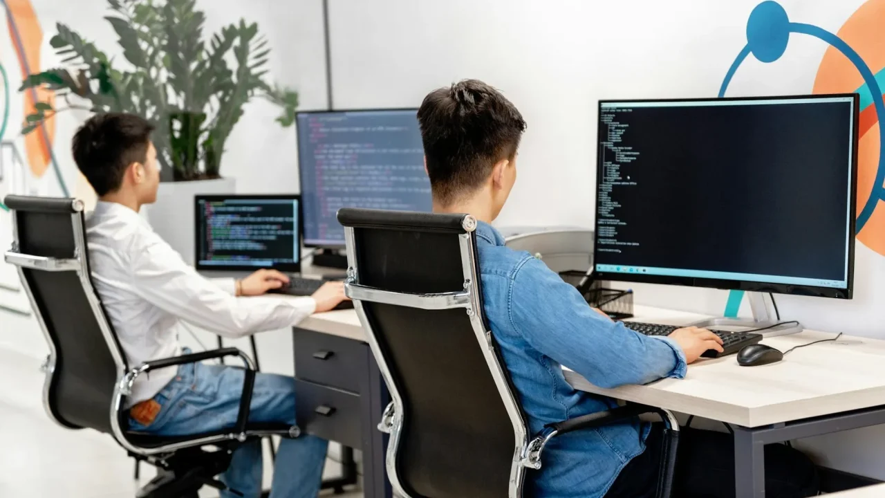 Web Development Team Professional Designer